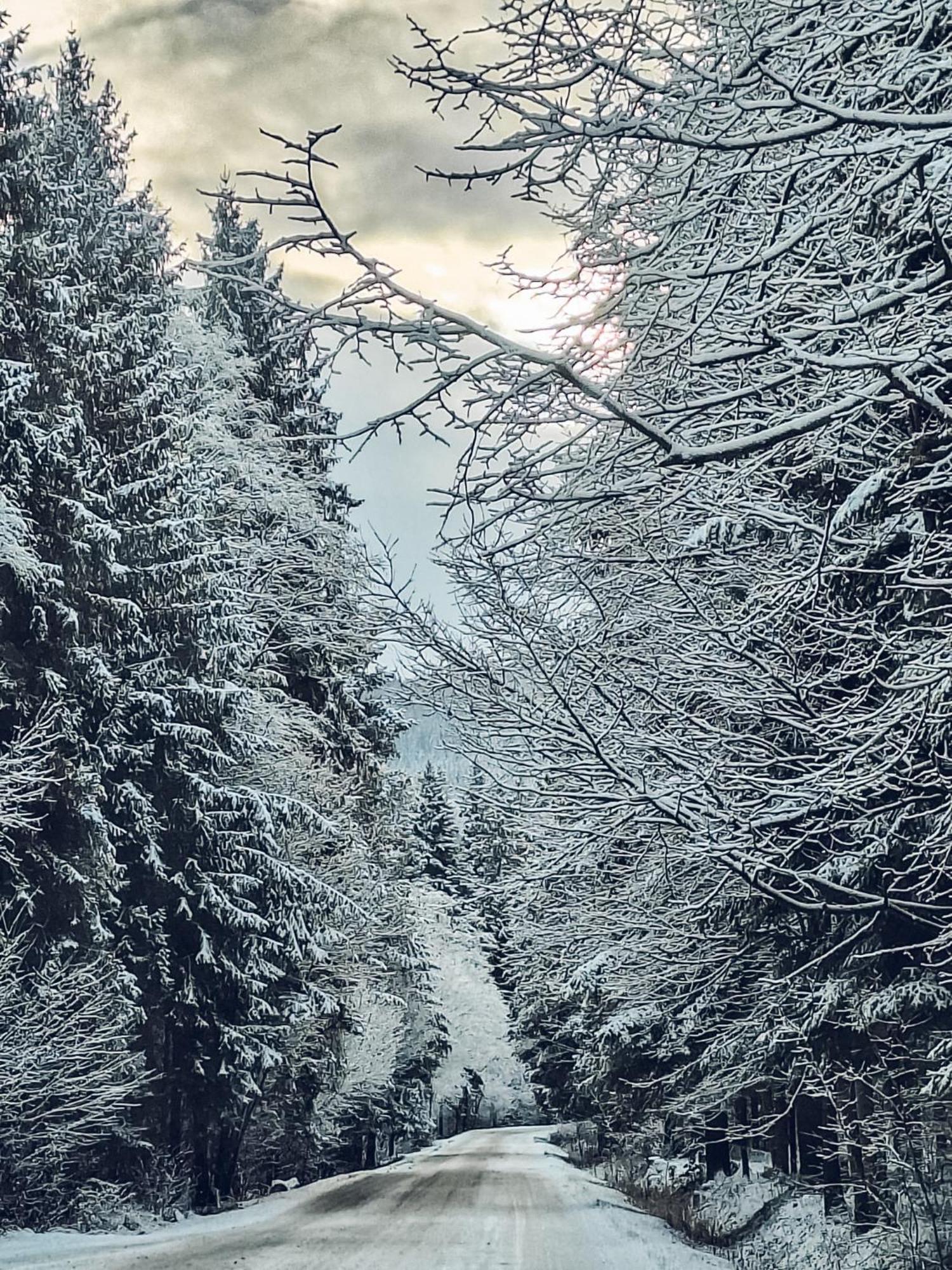 Beskidzki Domek Kurow Villa Kurow  Esterno foto