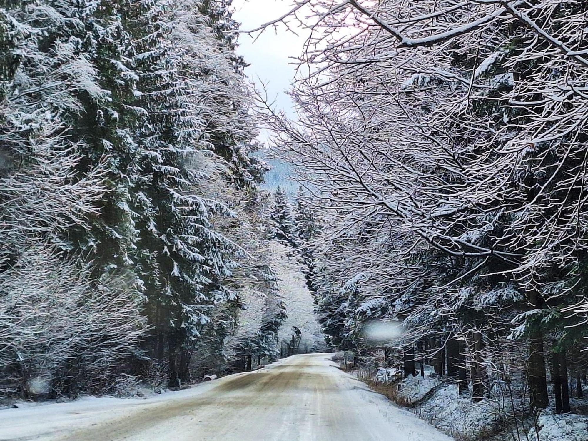 Beskidzki Domek Kurow Villa Kurow  Esterno foto