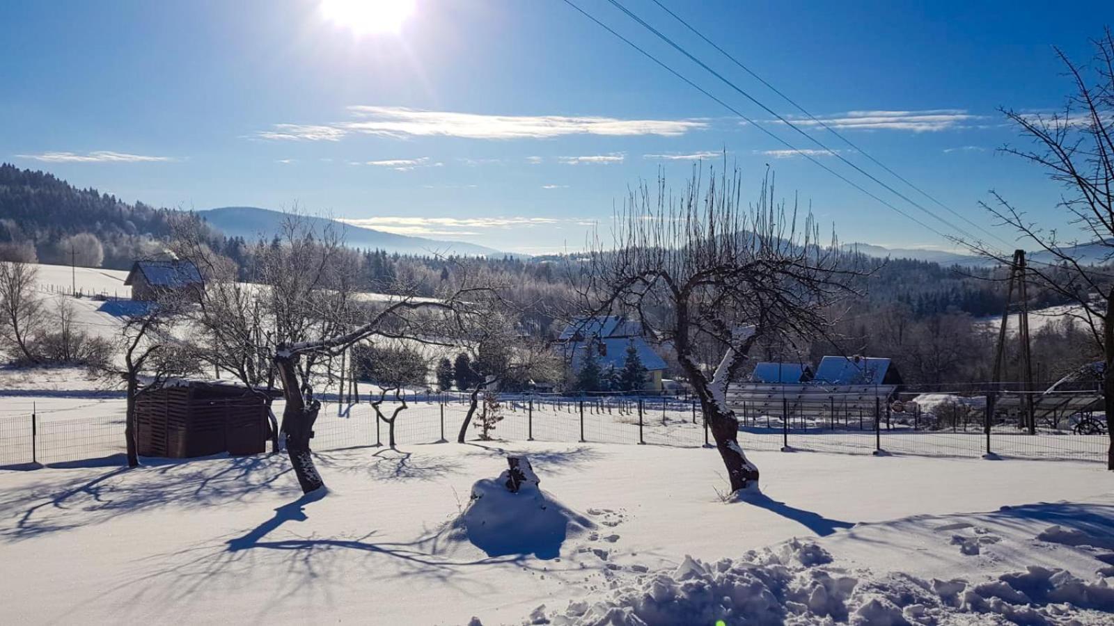 Beskidzki Domek Kurow Villa Kurow  Esterno foto