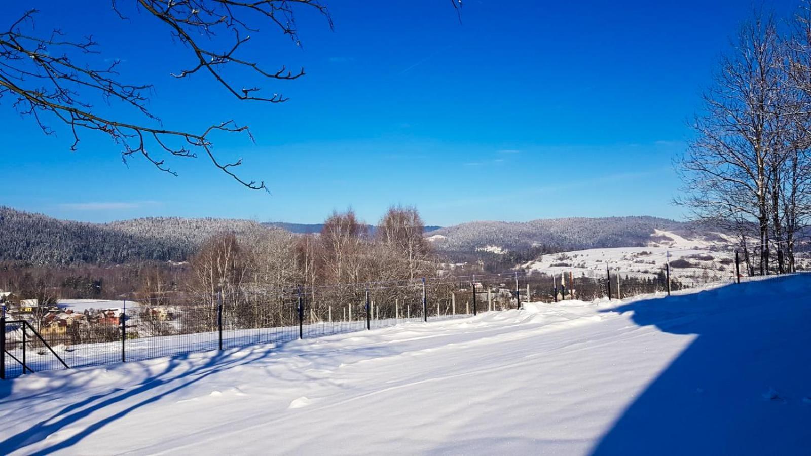 Beskidzki Domek Kurow Villa Kurow  Esterno foto