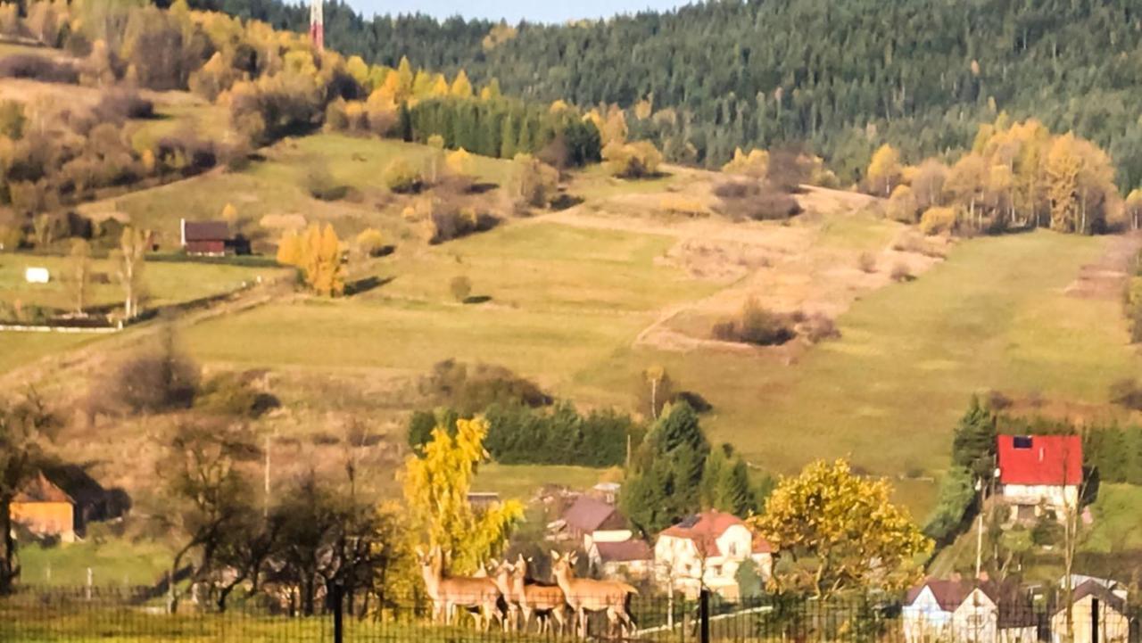 Beskidzki Domek Kurow Villa Kurow  Esterno foto